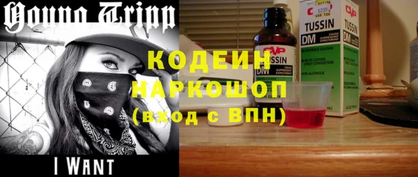 ешки Алзамай
